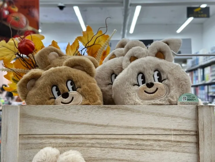 메인 이미지